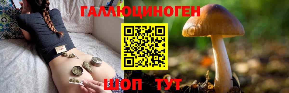 Москва  Галлюциногенные грибы ЛСД  Вход с VPN 